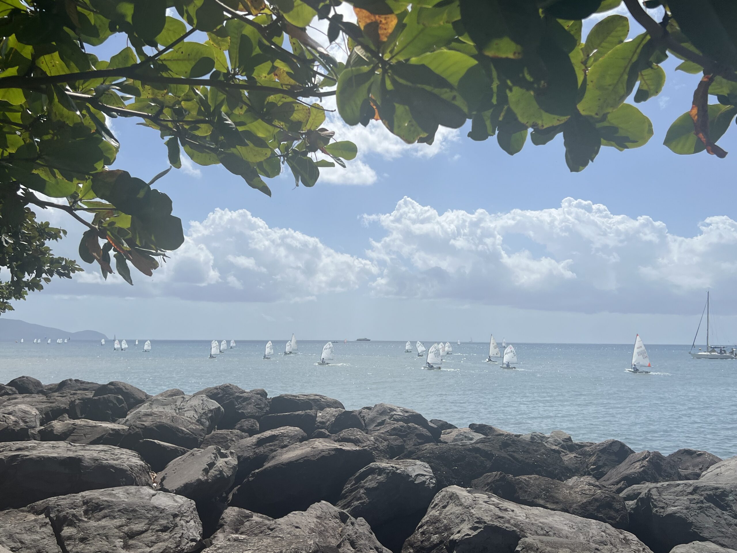 My Martinique experience – Zoe Miller